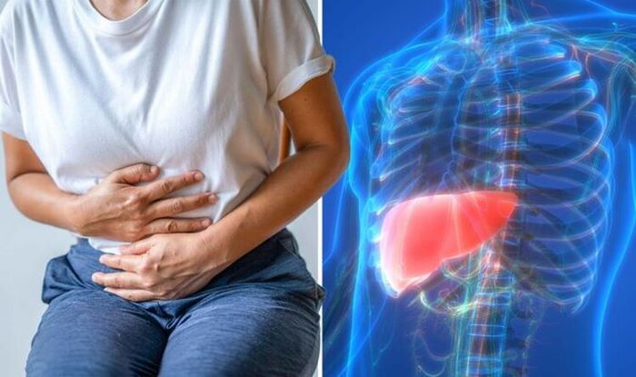 گینر به کلیه یا کبد آسیب می‌زند؟