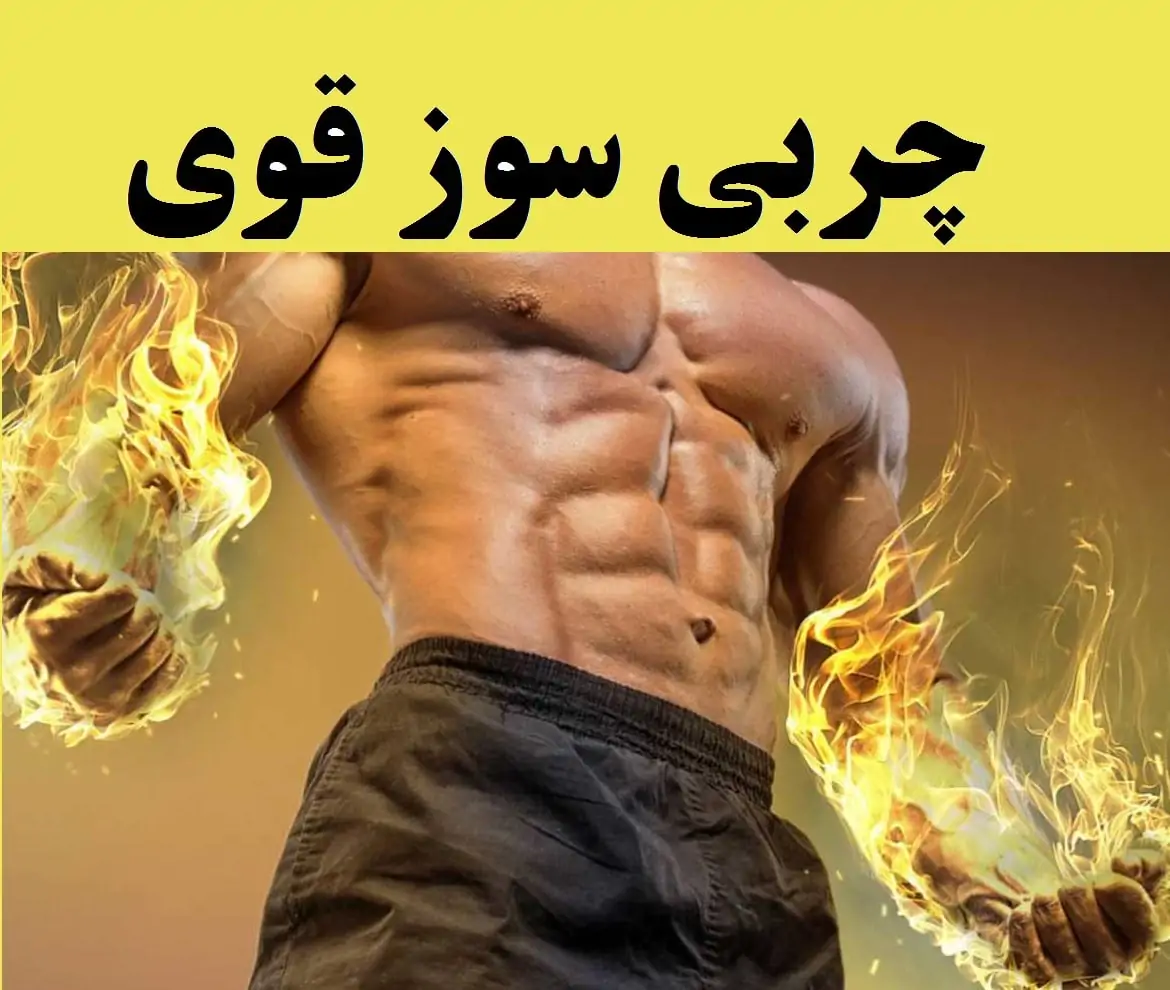 انواع مکمل های چربی سوز بدنسازی