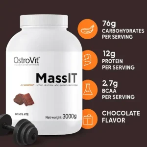 مس گینر اوستروویت آی تی