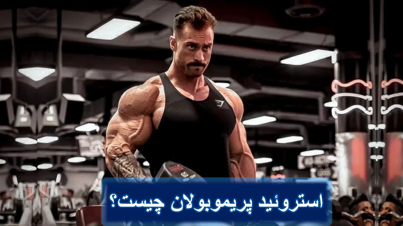 کشف پریموبولان